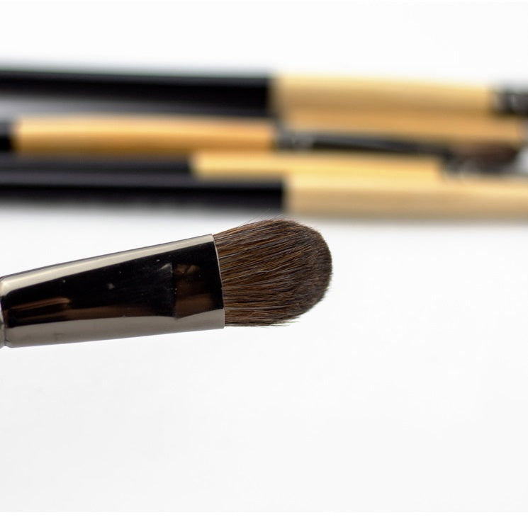 Special Color Brush For Art Students