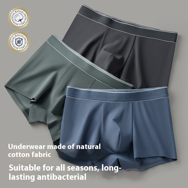 95 Cotton Antibacterial Crotch Boxer Breathable Men's Underwear